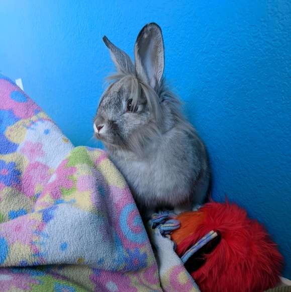 Meet your Posher, Christine - Picture 1 of 1